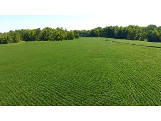 Property photo 27 - LAND AUCTION - 1,193+/- ACRES IN 14 TRACTS IN PIKE & GIBSON COUNTY, INDIANA